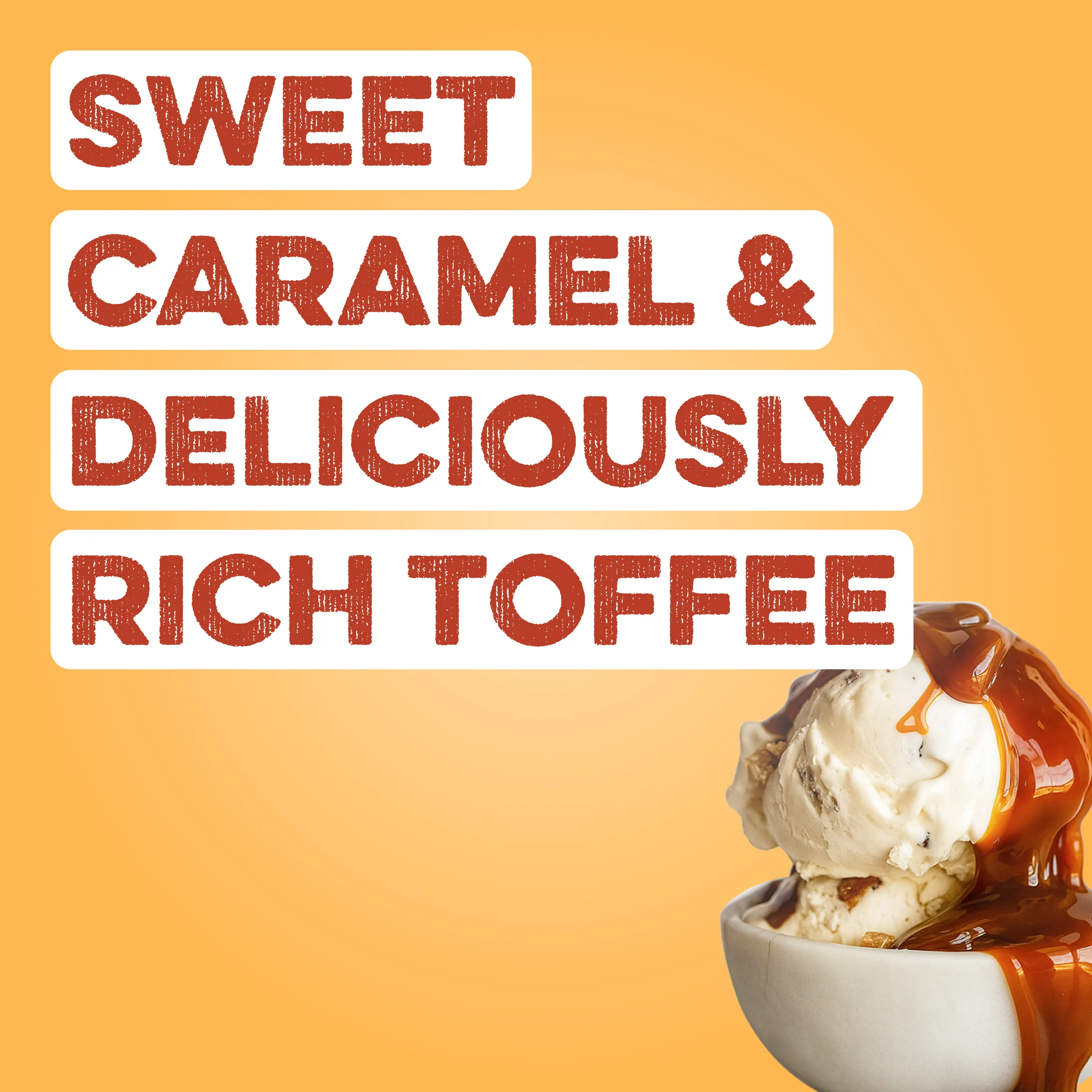 Protein Powder: Caramel Toffee (10 Single Serving Stick Packs) - Image 2