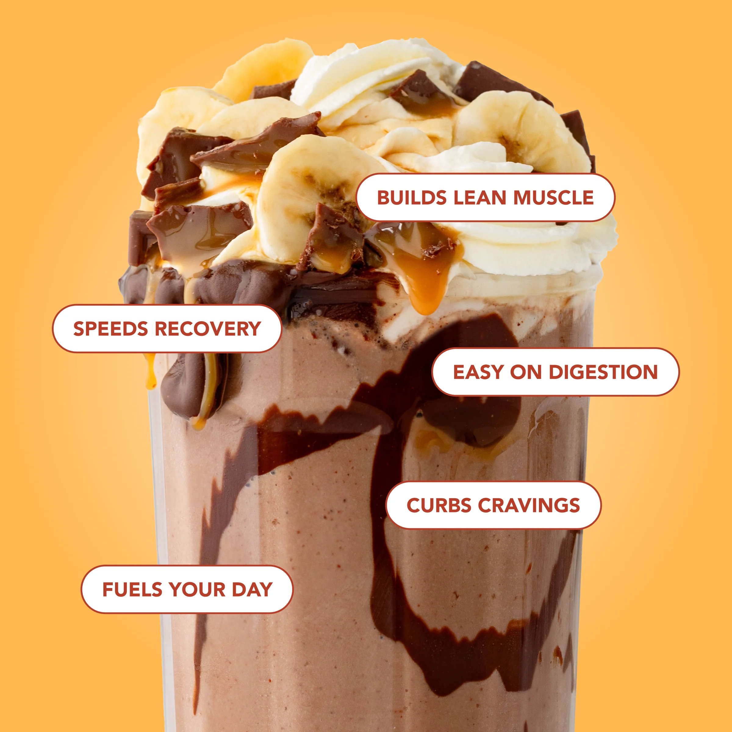 Protein Powder: Caramel Toffee (10 Serving Bag) - Image 4