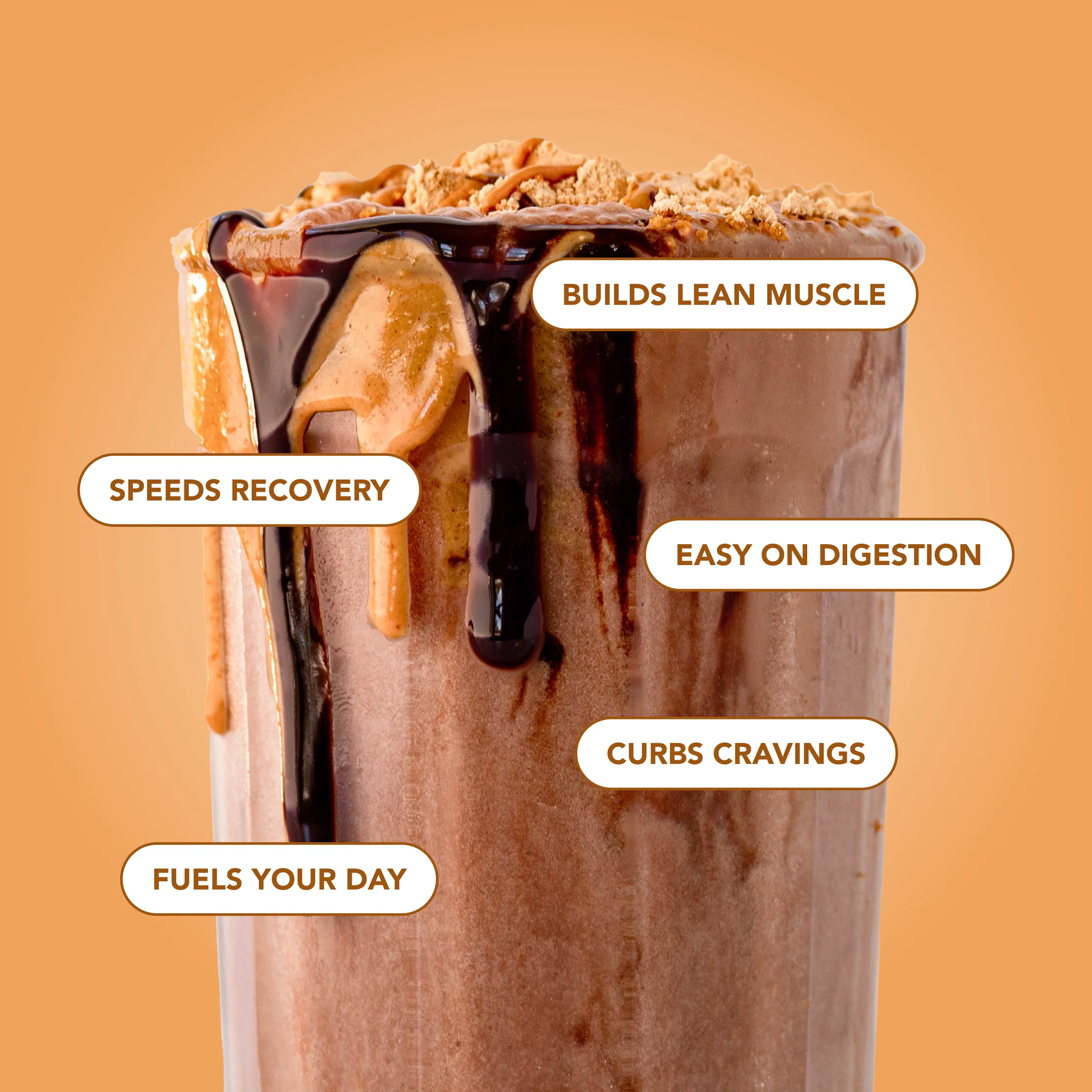 Protein Powder: Chocolate Peanut Butter (10 Serving Bag) - Image 4