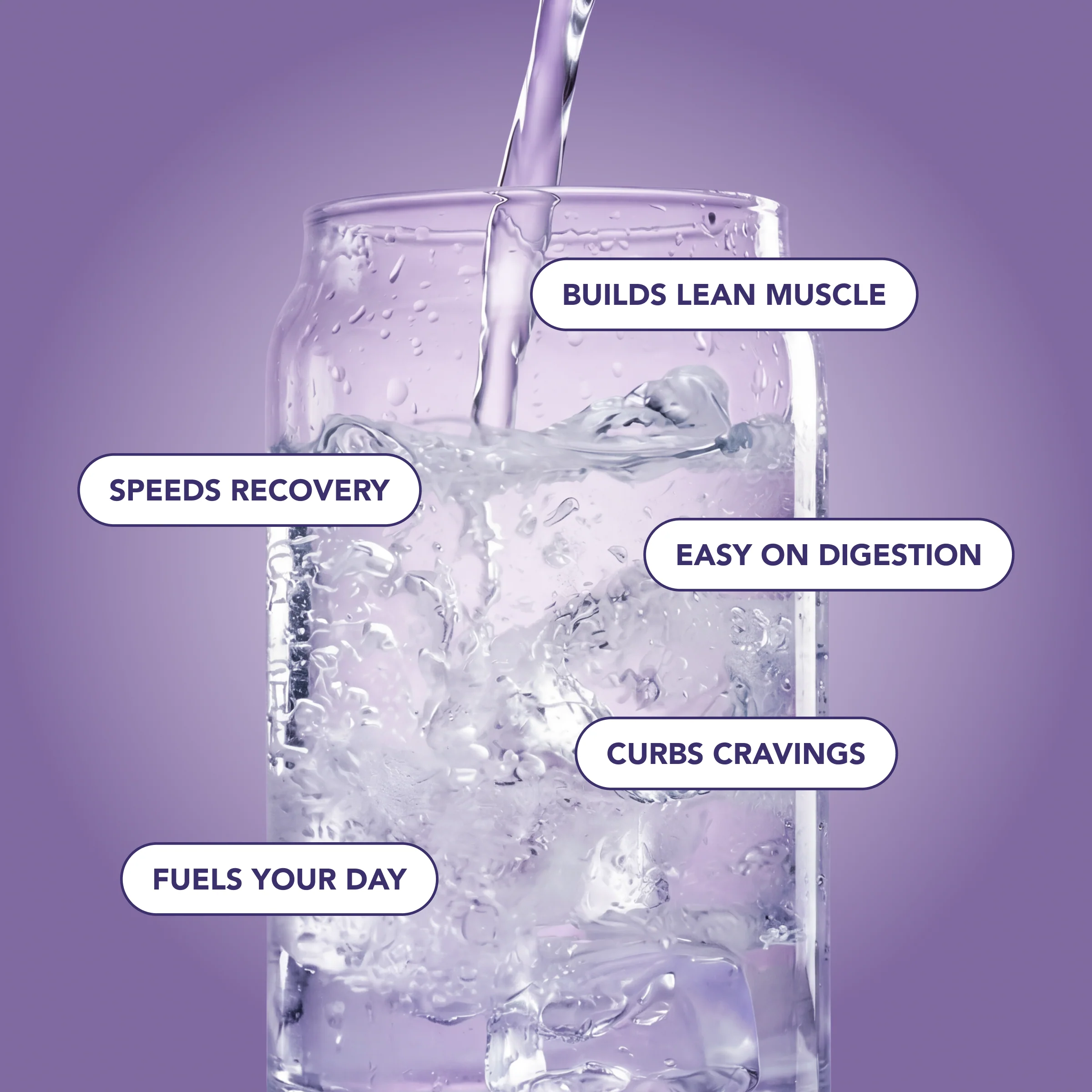 Clear Protein Water: Blackberry Vanilla (12 Oz. | 12 Pack) - Image 4