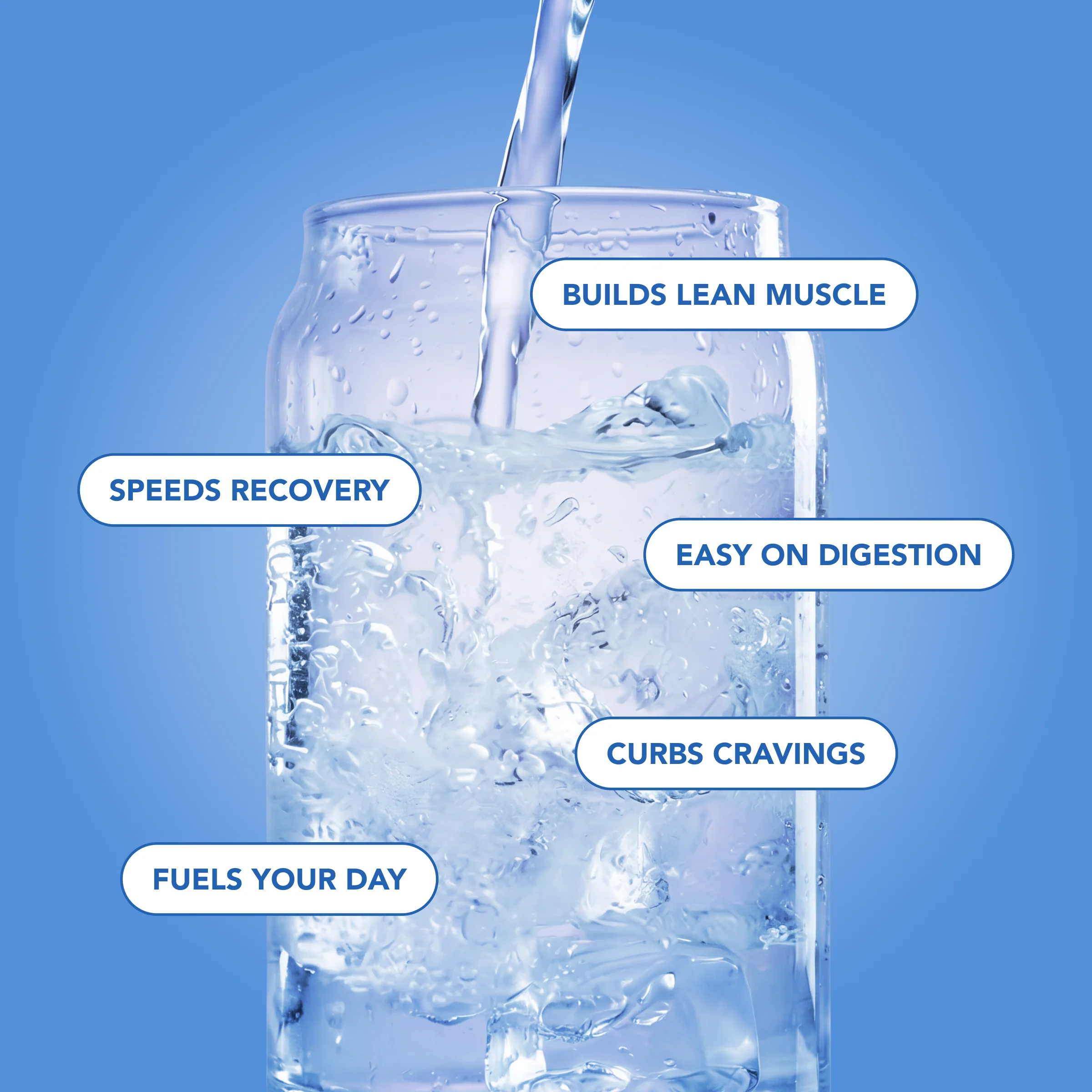 Clear Protein Water: Blue Razz (12 Oz. | 12 Pack) - Image 4
