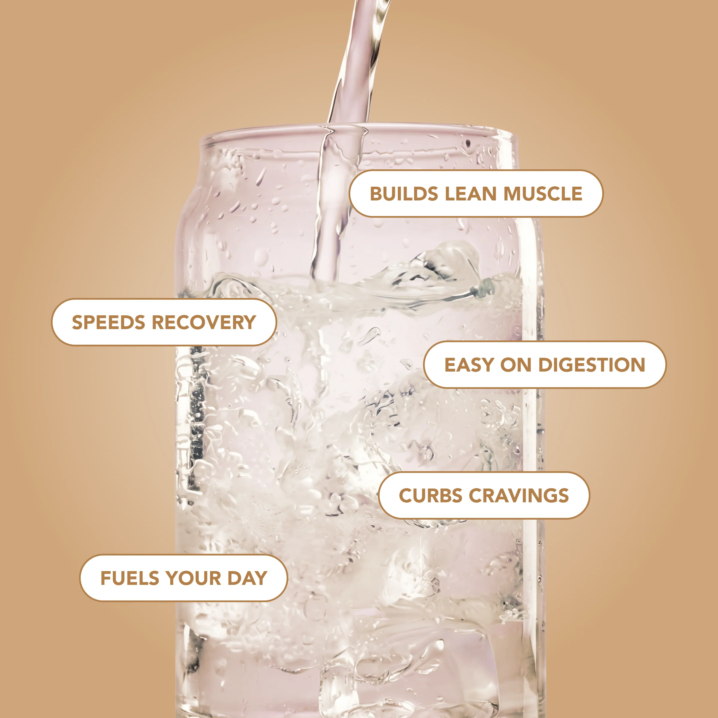 Clear Protein Water: Coconut Créme (12 Oz. | 12 Pack) - Image 4