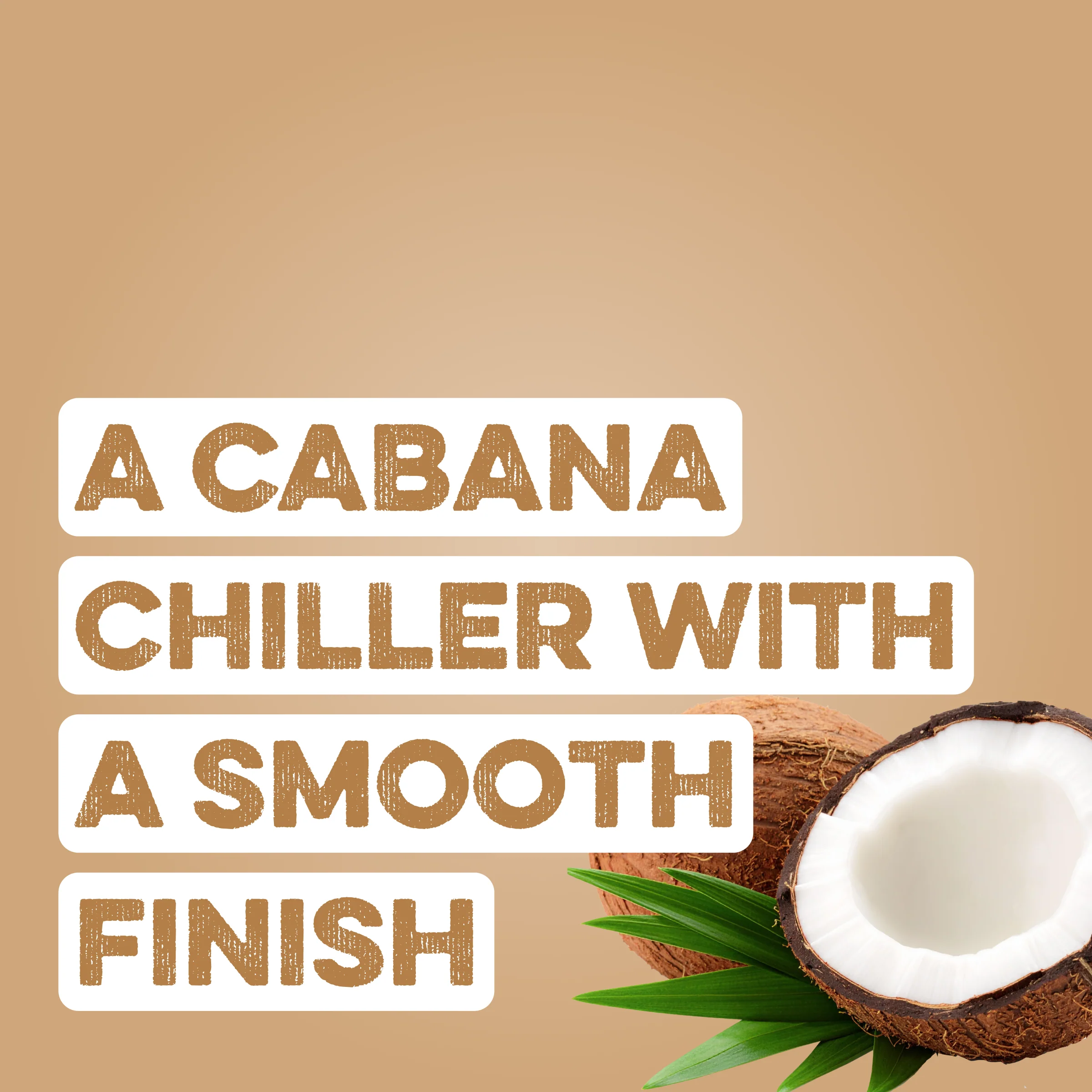 Clear Protein Water: Coconut Créme (16 Oz. | 12 Pack) - Image 2