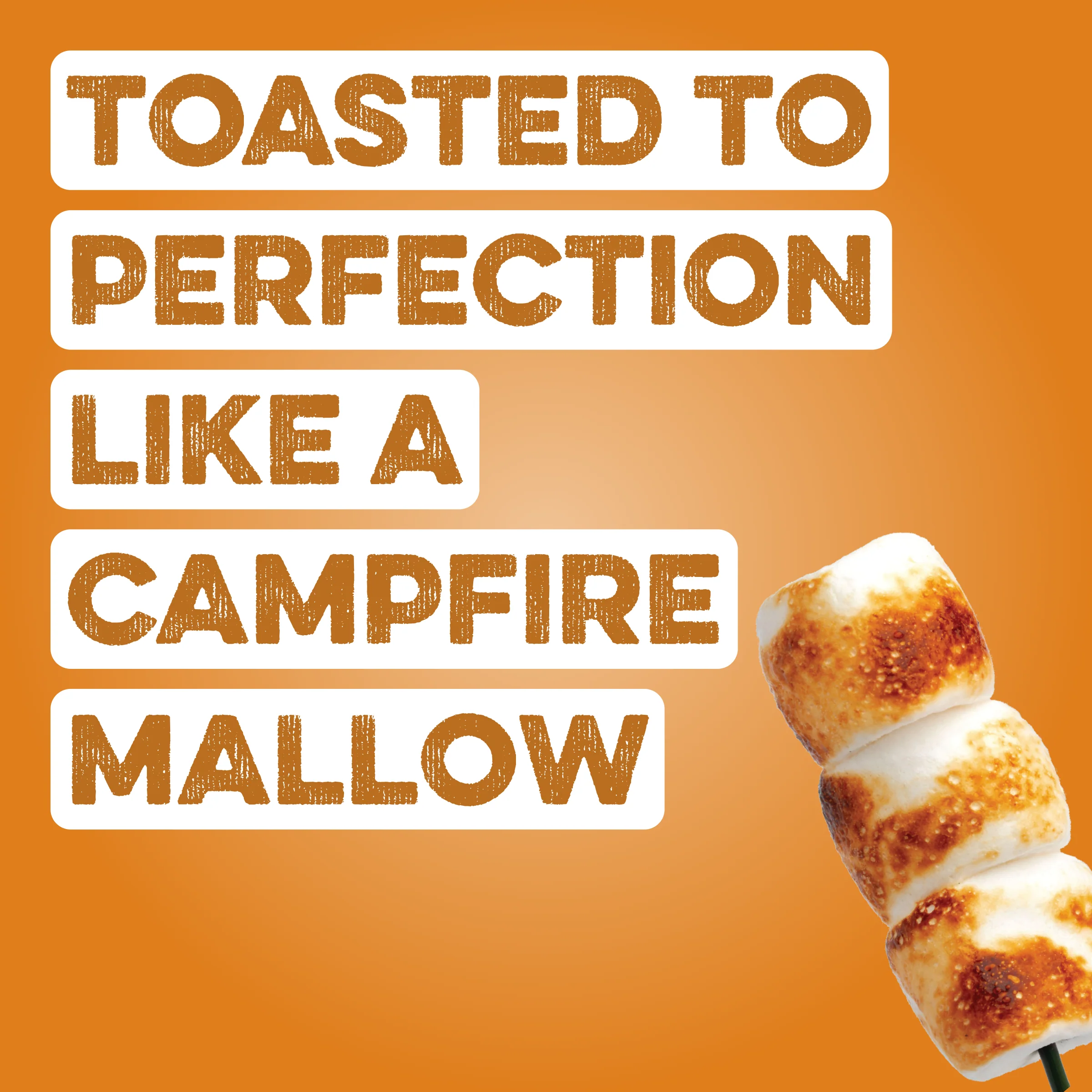 Protein Powder: Toasted Marshmallow (30 Serving) - Image 2