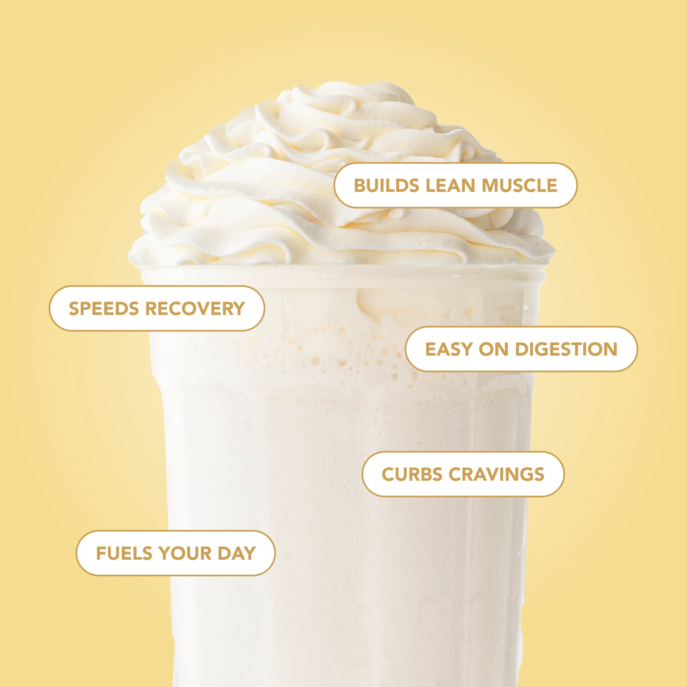 Protein Powder: Simply Vanilla (20 Serving Bag) - Image 3
